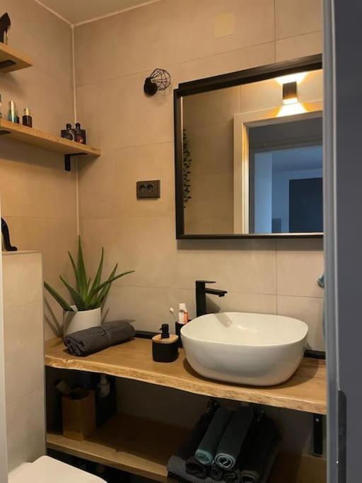 Prekrasan Mali Stan Matilda U Zagrebu Apartment Екстериор снимка