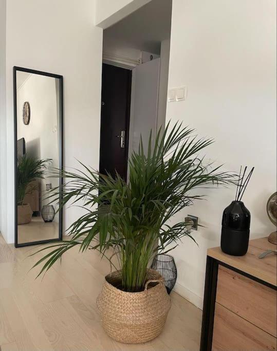 Prekrasan Mali Stan Matilda U Zagrebu Apartment Екстериор снимка